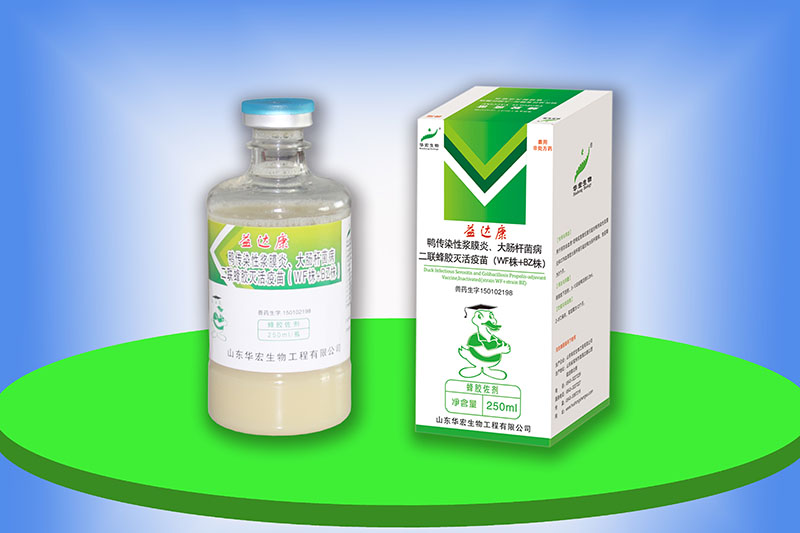 鴨傳染性漿膜炎、大腸桿菌病二聯(lián)蜂膠滅活疫苗（WF株+BZ株）